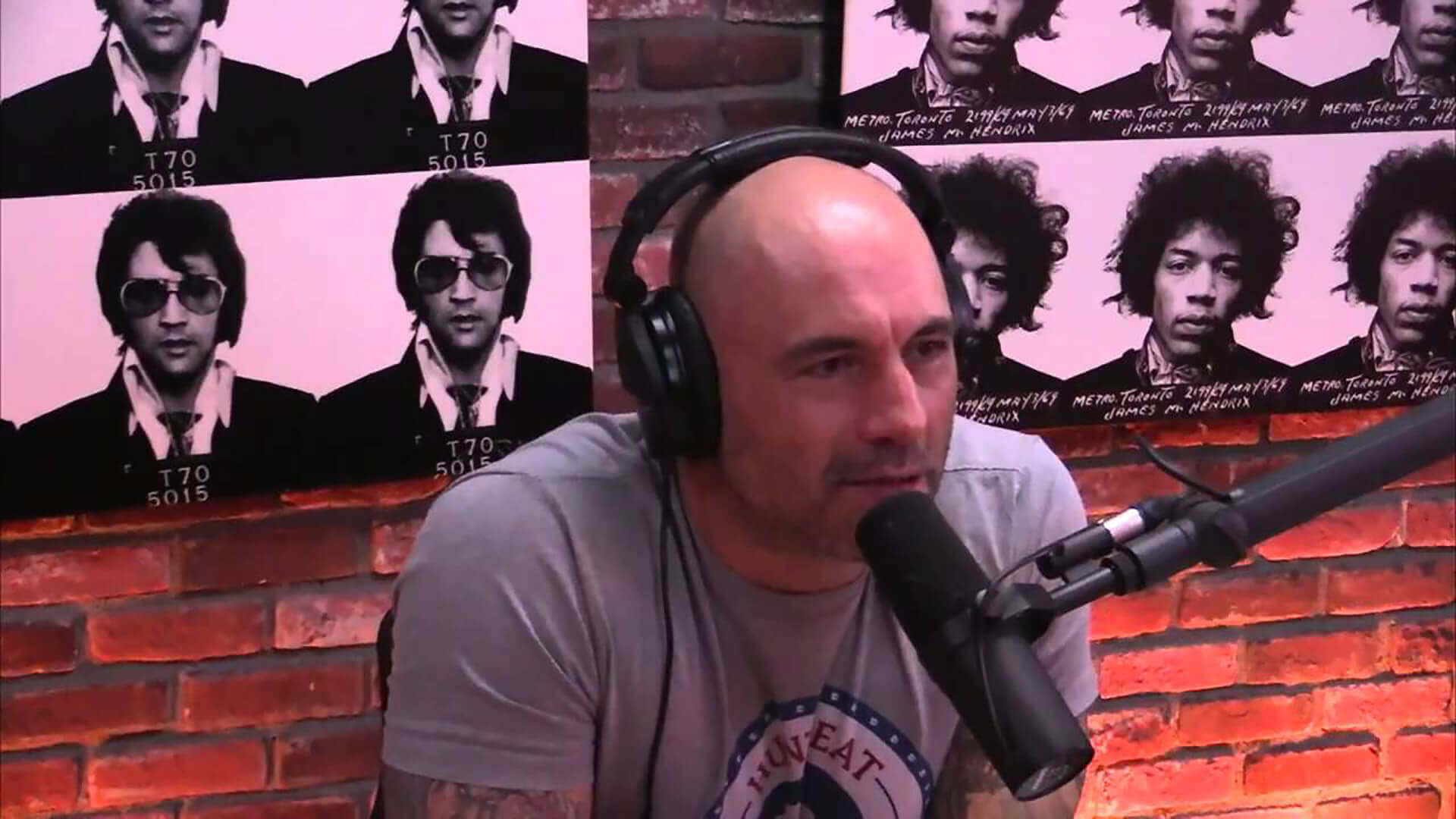 Joe Rogan